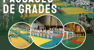 Passages de grades : Novembre 2025